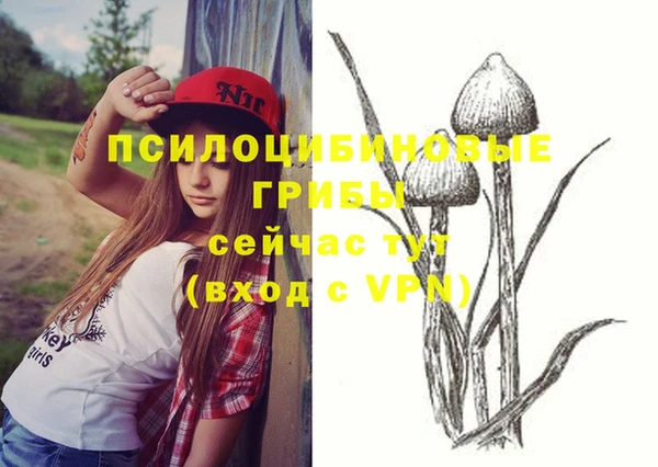 бутират Кодинск